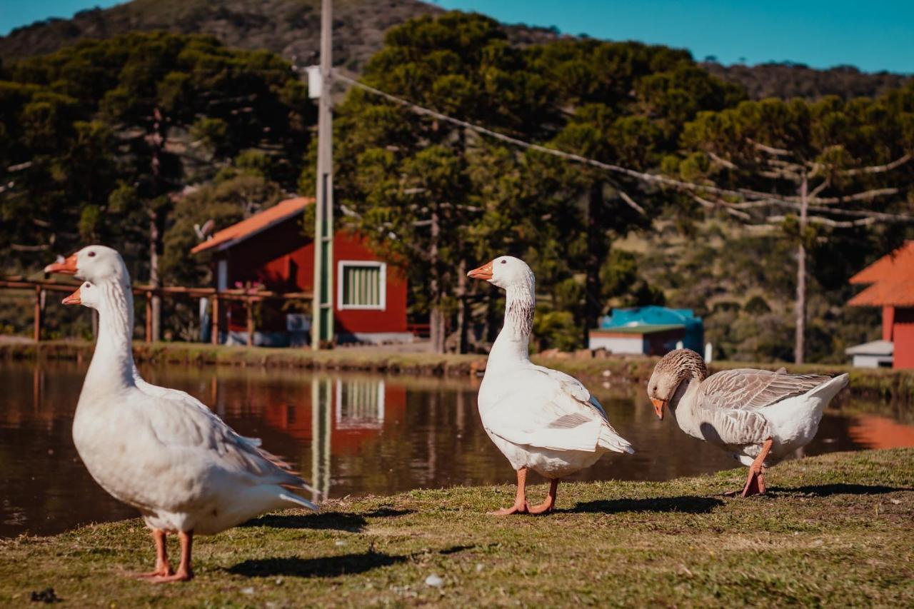 Pousada Lago Da Colina Urubici Buitenkant foto
